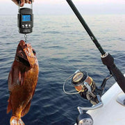 FLYSAND Mini Digital Scale 40kg X 10g for Fishing Luggage Travel Weighing Steelyard Hanging Electronic Hook Scale Fishing Tool