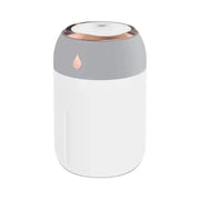 Clearance_Mini USB Portable Air Humidifier, Aroma Diffuser, LED Cool Light, Mist for Room, Home, Car, Plant Purifier, 330ml ﻿_Co