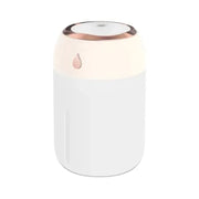 Clearance_Mini USB Portable Air Humidifier, Aroma Diffuser, LED Cool Light, Mist for Room, Home, Car, Plant Purifier, 330ml ﻿_Co