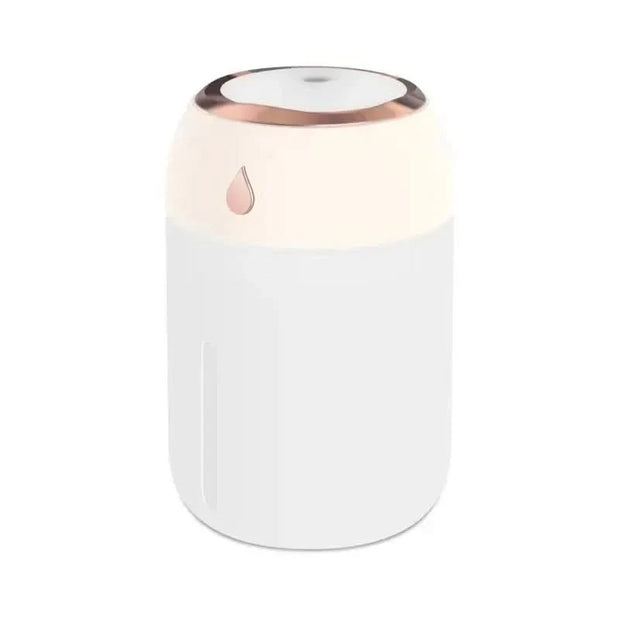 Clearance_Mini USB Portable Air Humidifier, Aroma Diffuser, LED Cool Light, Mist for Room, Home, Car, Plant Purifier, 330ml ﻿_Co