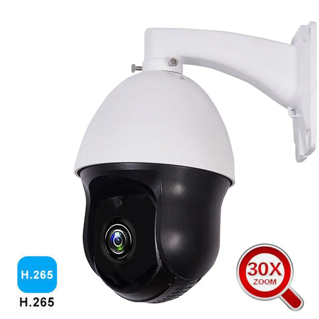 Outdoor PTZ 30x Zoom Auto Focus Lens 5MP 4in1 AHD CVI TVI CCTV PTZ Speed Dome Security IR 60M HD PTZ Camera For Hikvision DVR