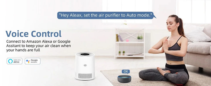 Air Purifiers for Bedroom, BHTNYOO-H13 HEPA Air Filter, PM2.5 Air Purifier Portable Indoor Odor Eliminators Purification System
